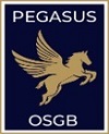PEGASUS İŞ SAĞLIĞI VE GÜVENLİĞİ HİZMETLERİ LİMİTED ŞİRKETİ